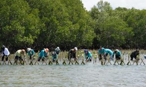 WhatsApp Image 2026-02-01 at 18.16.15