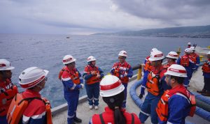 WhatsApp Image 2026-02-02 at 11.29.36